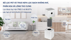 khử khuẩn và tác nhân gây bệnh
