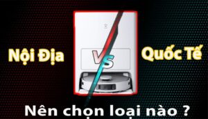 bản nội địa và quốc tế