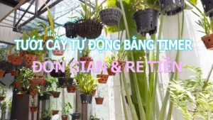 hệ thống tưới cây tự động sử dụng timer