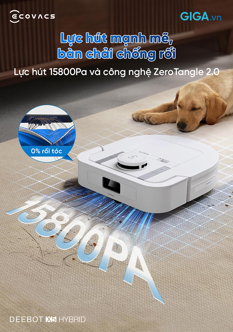Công nghệ chống rối ZeroTangle 2.0 tiên tiến loại bỏ tình trạng lông/tóc xoắn rối trên chổi