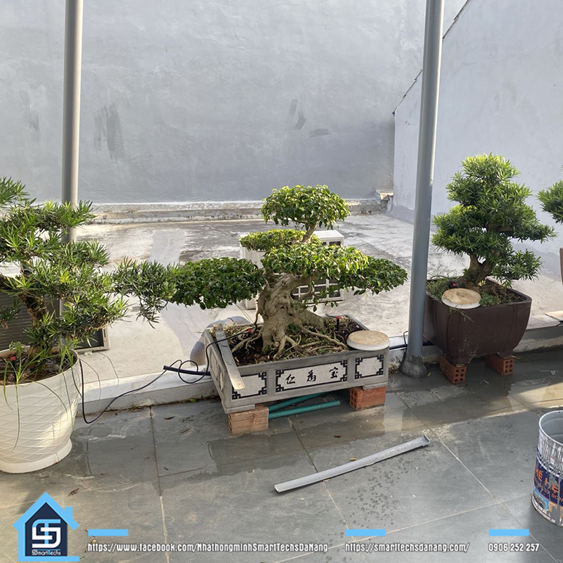 Tưới cây tự động thông minh