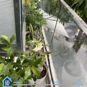 Tưới cây tự động thông minh