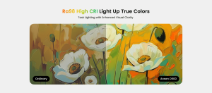 Đèn ốp trần trước và sau lắp đặt trang trí