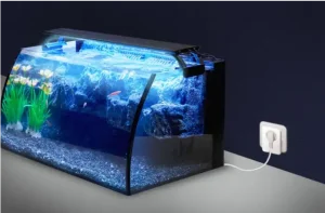 Ổ cắm đo điện năng hẹn giờ bật tắt thông minh