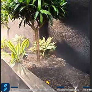 Tưới cây tự động