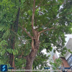 Hình anmhr camera lắp đặt tại công trình