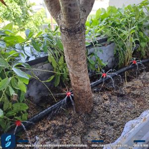 Hệ tưới tự động thông minh bec 8 tia