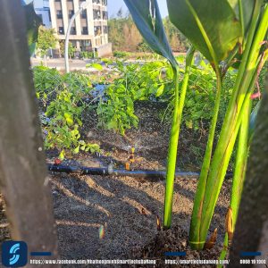 Hệ tưới bồn cây cảnh tầng 3