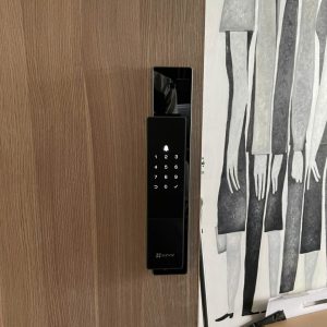 Khóa thông minh nhận diện khuôn mặt EZVIZ DL50FVS