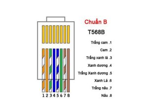 Bấm dây mạng chuẩn B