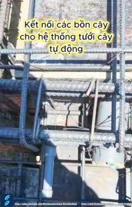 Đặt ống chờ liên kết xong phải bịt lại các đầu ống