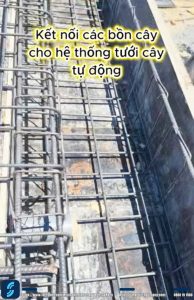 xác định vị trí các bồn cây