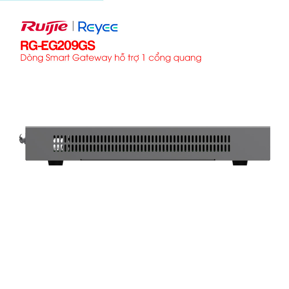 RG-EG209GS (1)