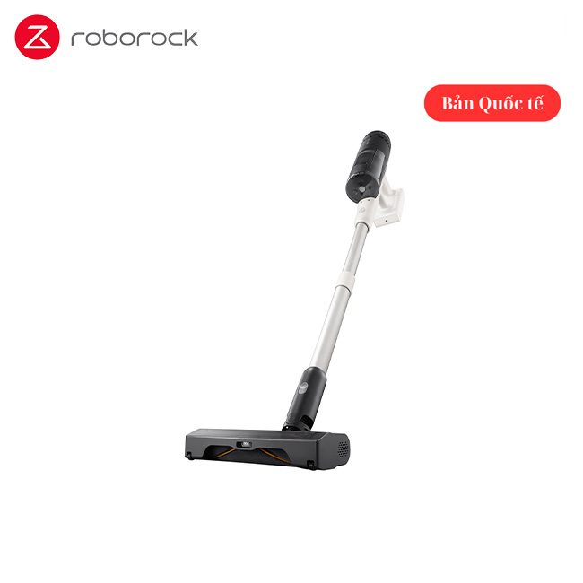 Roborock H60 Hub Pro