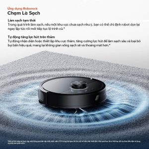Làm sạch sâu trên thảm